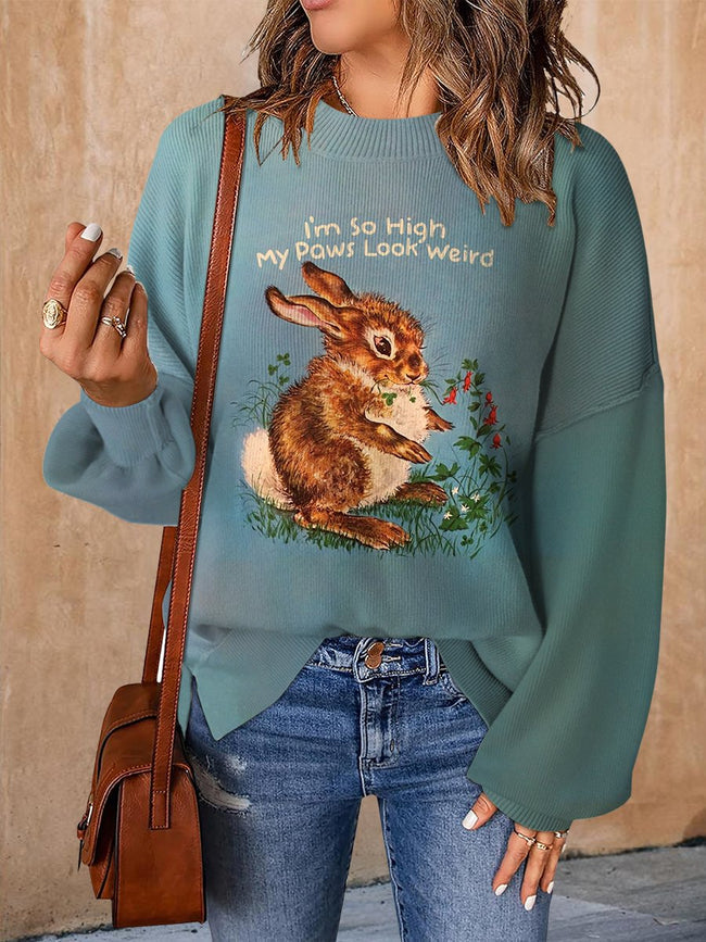 Retro Funny Art Print 'I‘m so high my paws look weird ’ Casual Knit Pullover Sweater